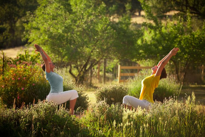 Eco Yoga